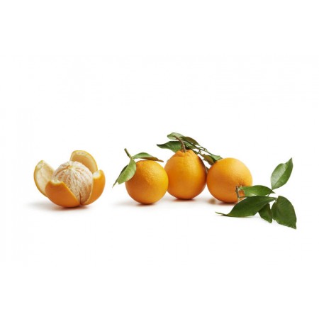 orange de table (1kg)