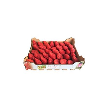 fraise espagne (1kg)